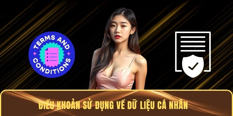 Điều kiện sử dụng về dữ liệu cá nhân