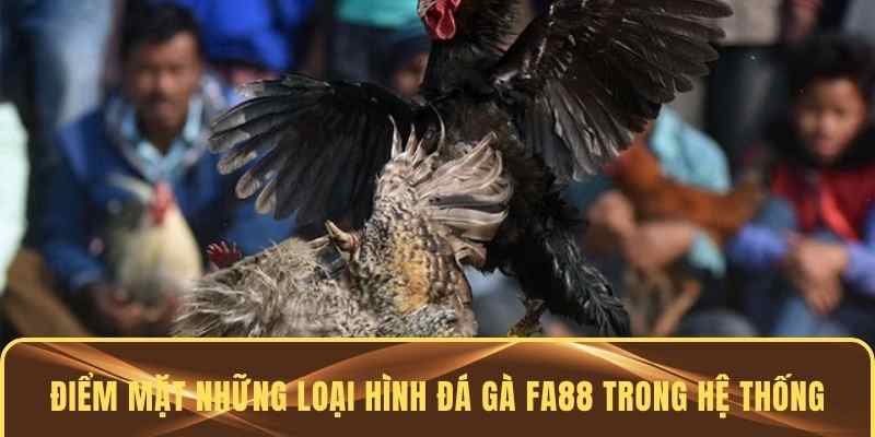 Nhiều loại hình chọi gà có trong FA88