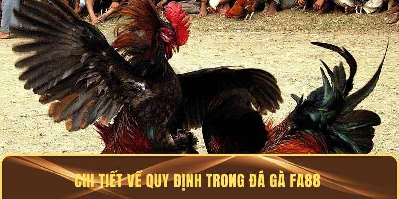Những điều luật cần nắm trong đá gà FA88