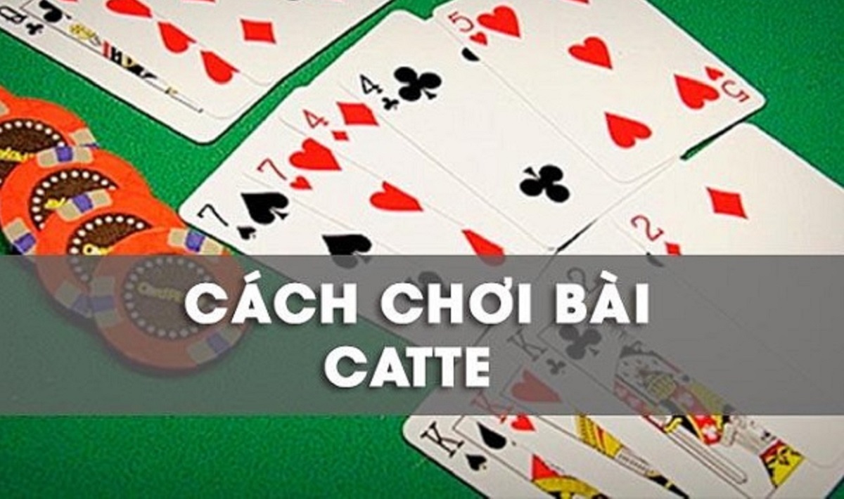 Hướng dẫn chơi bài catte